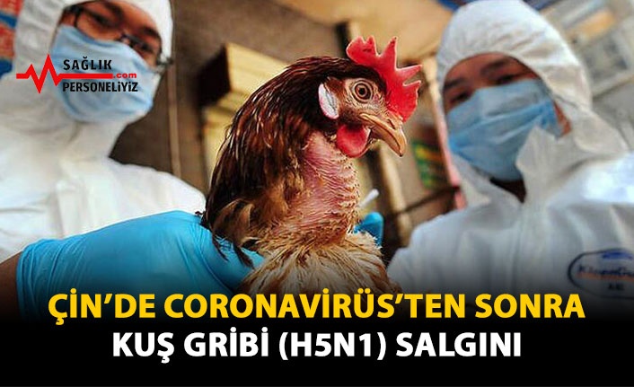 Çin'de Coronavirüs'ten Sonra Kuş Gribi (H5N1) Salgını