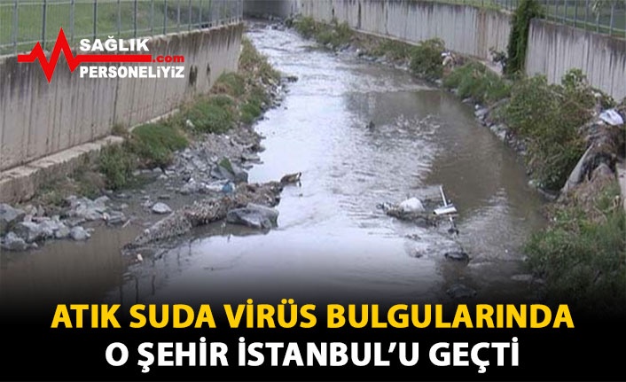 Atık Suda Virüs Bulgularında O Kent İstanbul'u Geçti